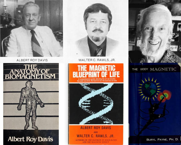 Polarity Pioneers → The Static Era